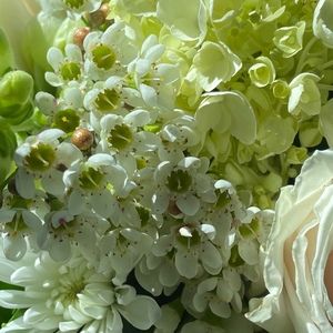 Meet your Posher, Rashel